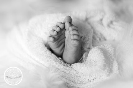 Flagstaff Arizona newborn photographer