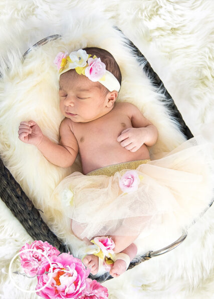 Cottenwood Arizona newborn photographer